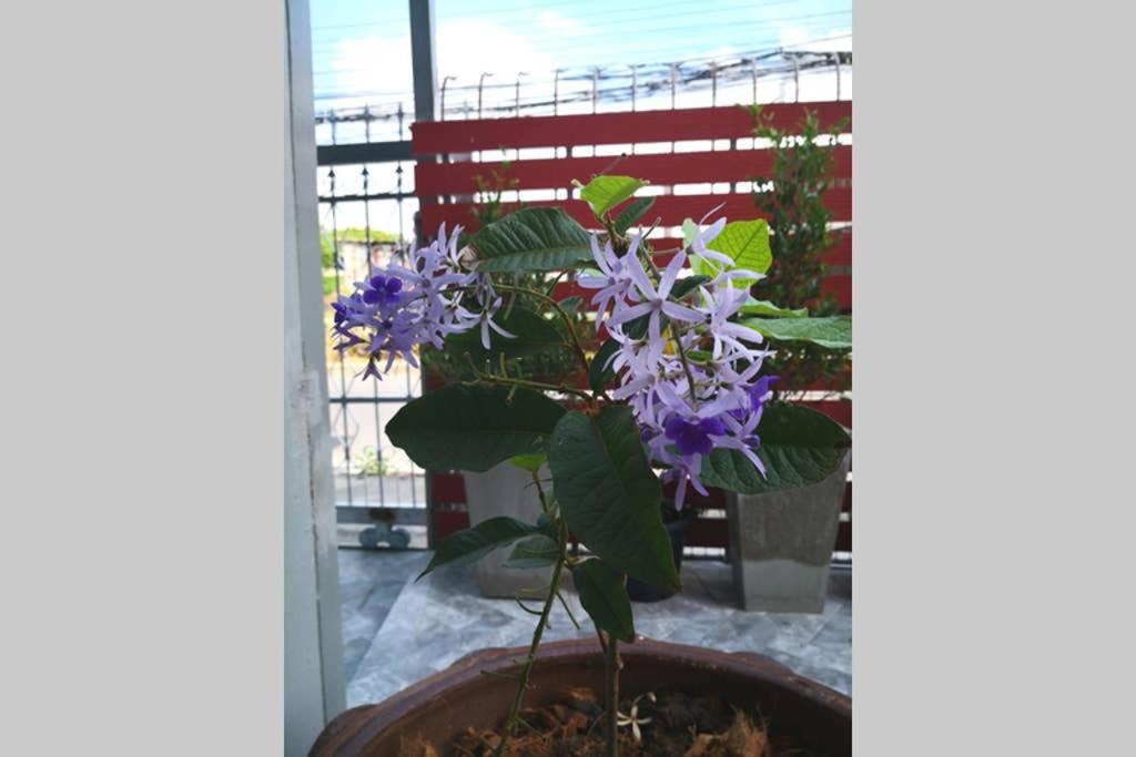 Bluebell House Hatyai - Cosy 3 Bedrooms For 10 Pax - 9 Mins Drive To Lee Grd Ban Kho Hong Buitenkant foto